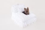 Enchanted Nights Dog Bed Collection